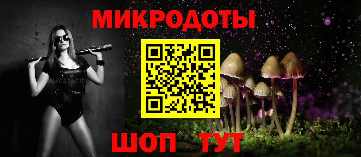 Красноармейск  Галлюциногенные грибы Cubensis  Вход с VPN 
